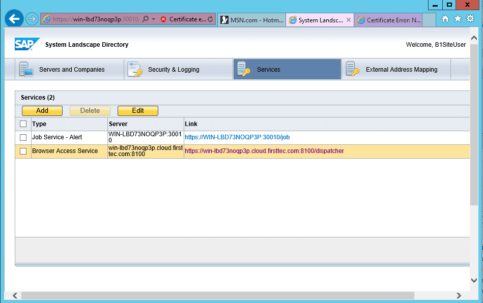 SAP Business One SLD Services Panel
