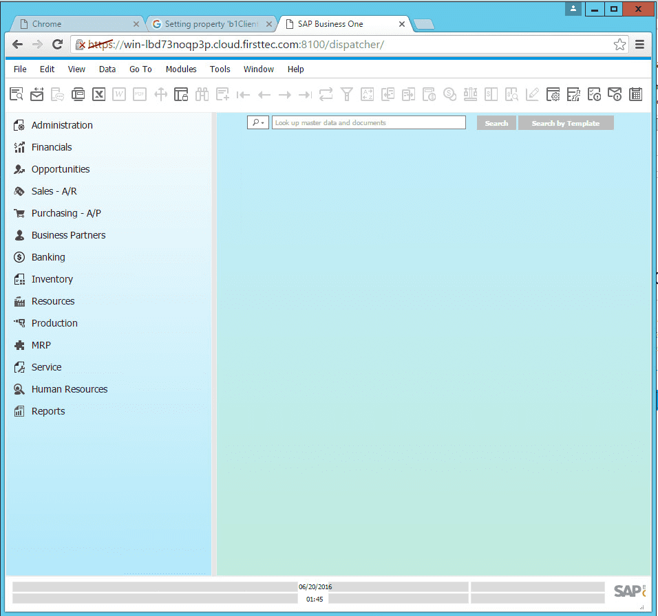 SAP Business One Browser Access
