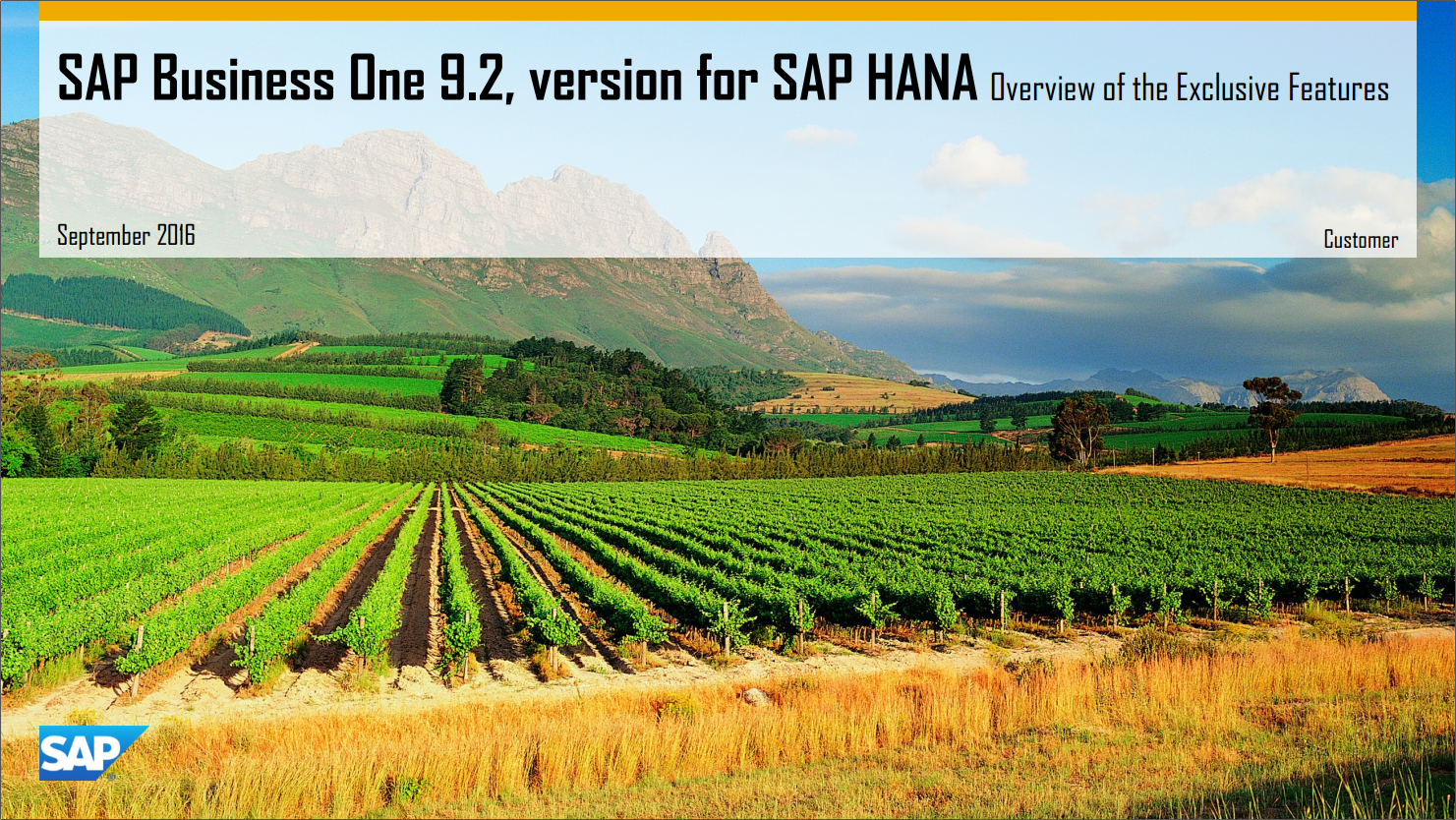 SAP Business One 9.2, version for SAP HANA Exclusive Features