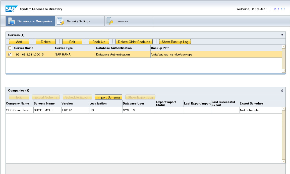 SAP Business One on Hana database Backup and Restore