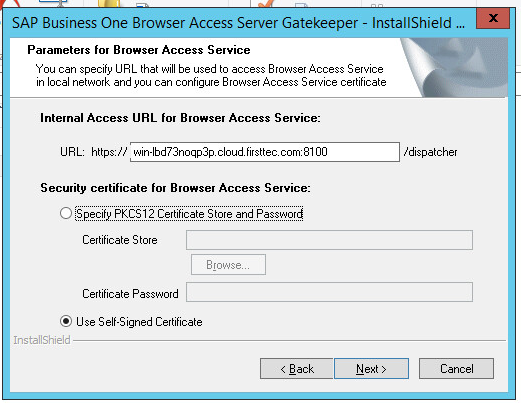 SAP Business One Browser Access Installation