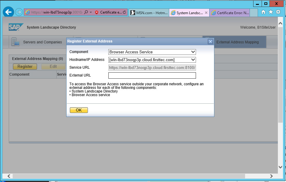 SAP Business One Browser Access public address mapping