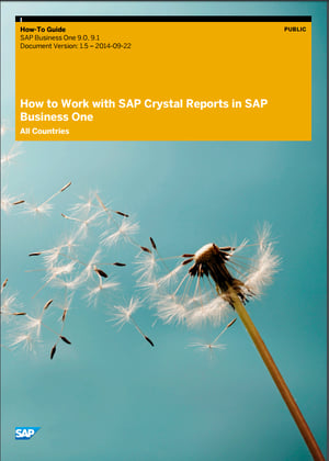 Crystal Reports in SAP Business One