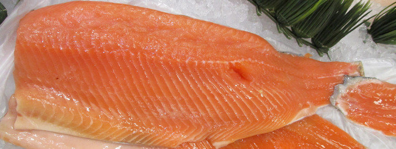 Fish Reducing Food Waste with ERP