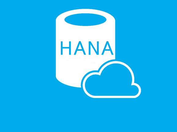 Why SAP Business One on Hana might be a better choice than SQL