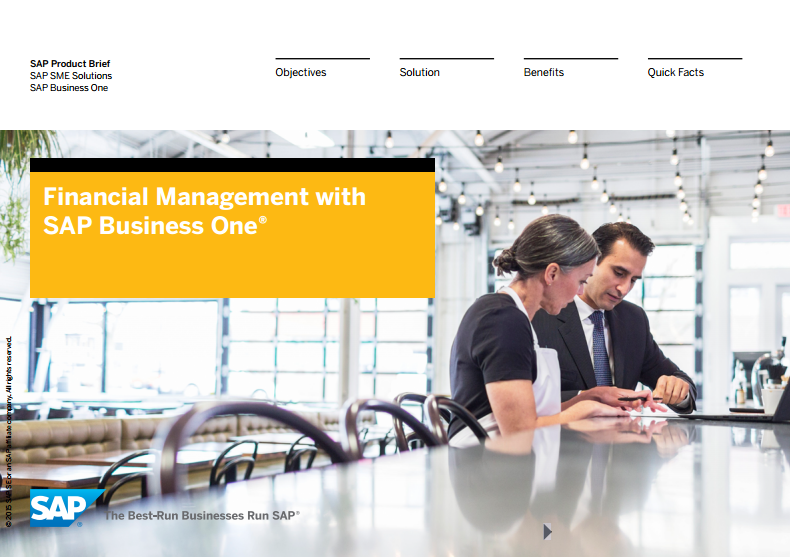 SAP Business One Financial Management