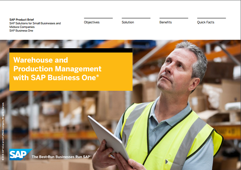 SAP Business One Warehourse and Inventory Management