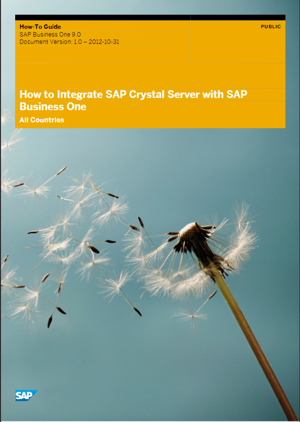 How to integrate Crystal Server