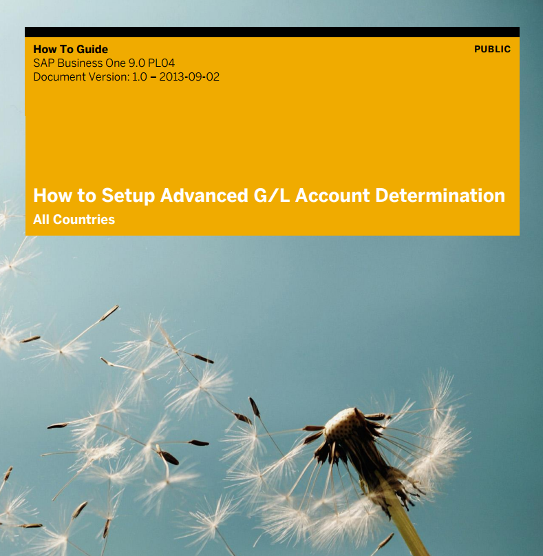 How To Setup and Work with Advanced G/L Account Determination guide