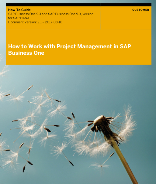 How to Work with Project Management in SAP Business One 9.3